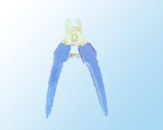 βǯ