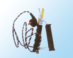 綯βǯ