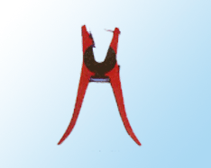 ǯ