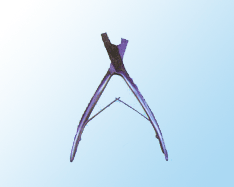 ǯ